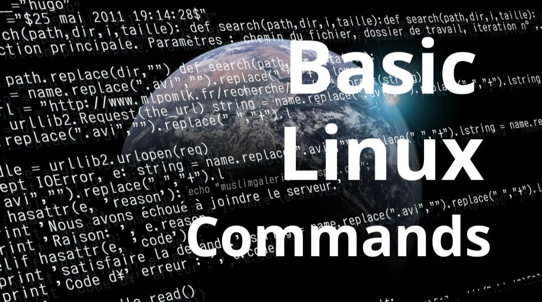 Read more about the article Basic Linux Commands: 20 Useful Linux Commands You Must Know