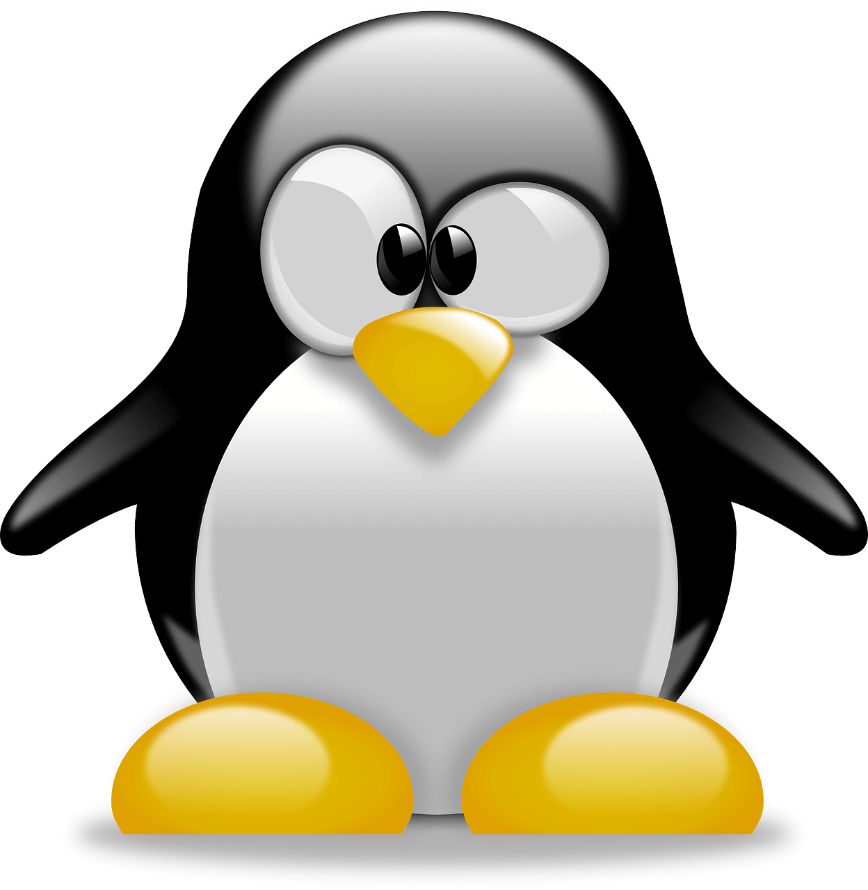 Read more about the article Best Linux Distro: Top 5 Most Popular Linux Distribution in 2023