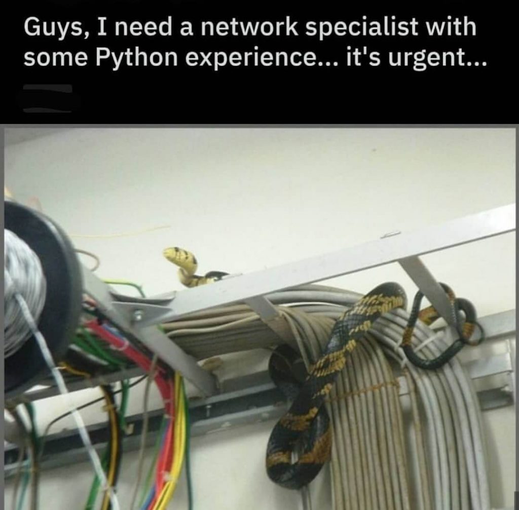 Coding Jokes - Network Specialist