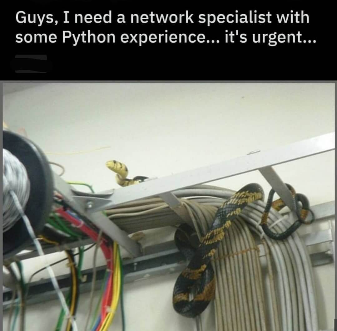 Programming Memes: Top 40 Funniest Coding Memes Only Programmers will get