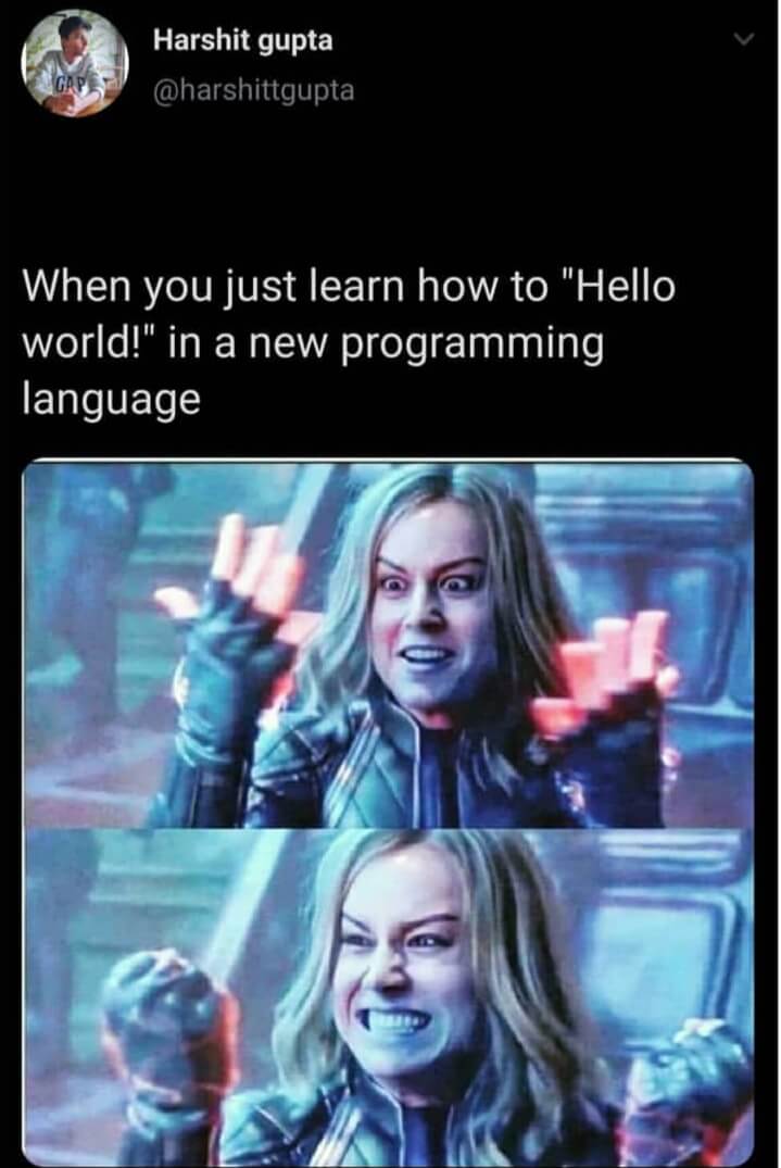 Programming Memes: Top 40 Funniest Coding Memes Only Programmers will get
