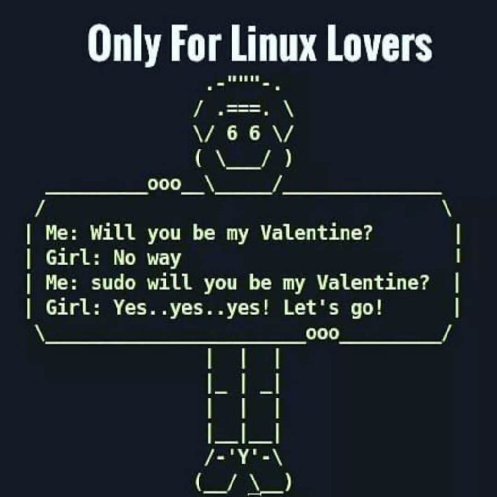 Programming Jokes Sudo Linux Lover