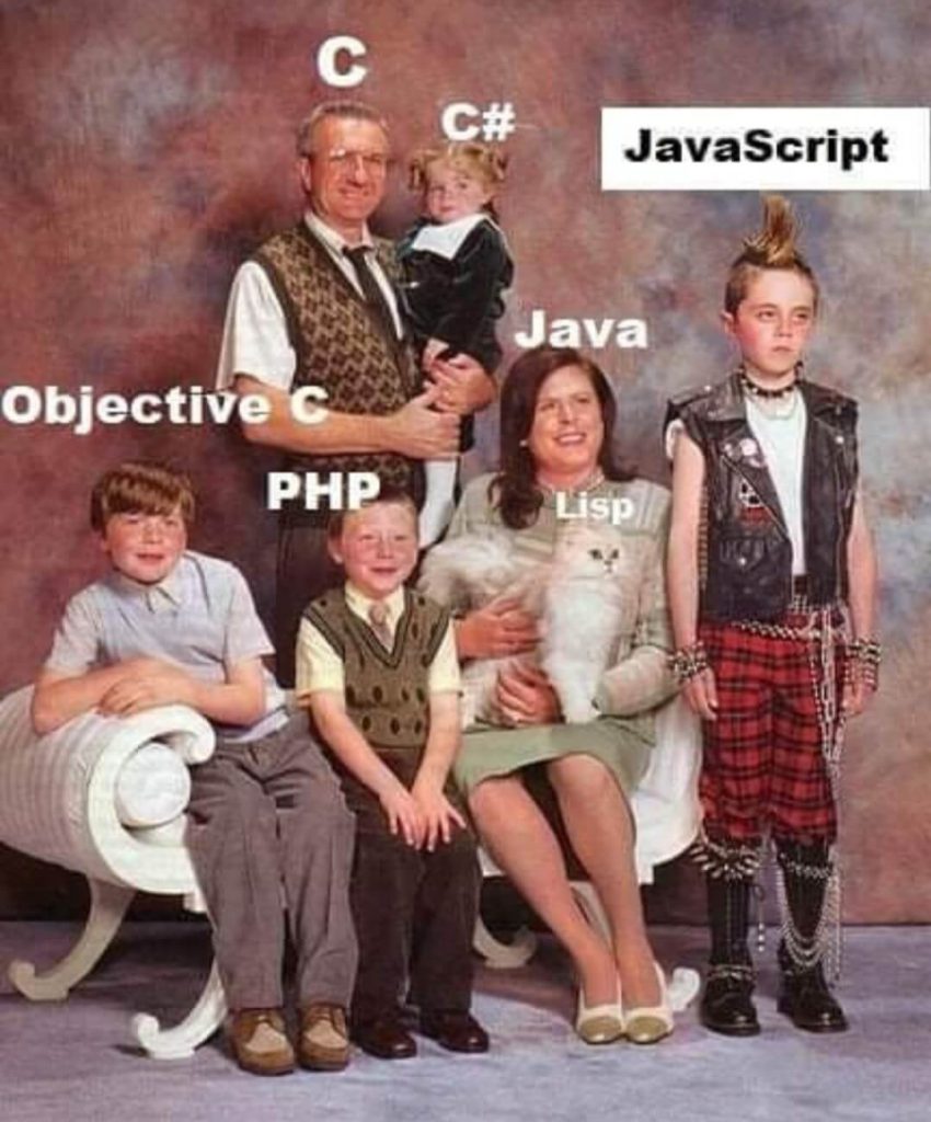 Programming Memes JavaScript vs Other Languages
