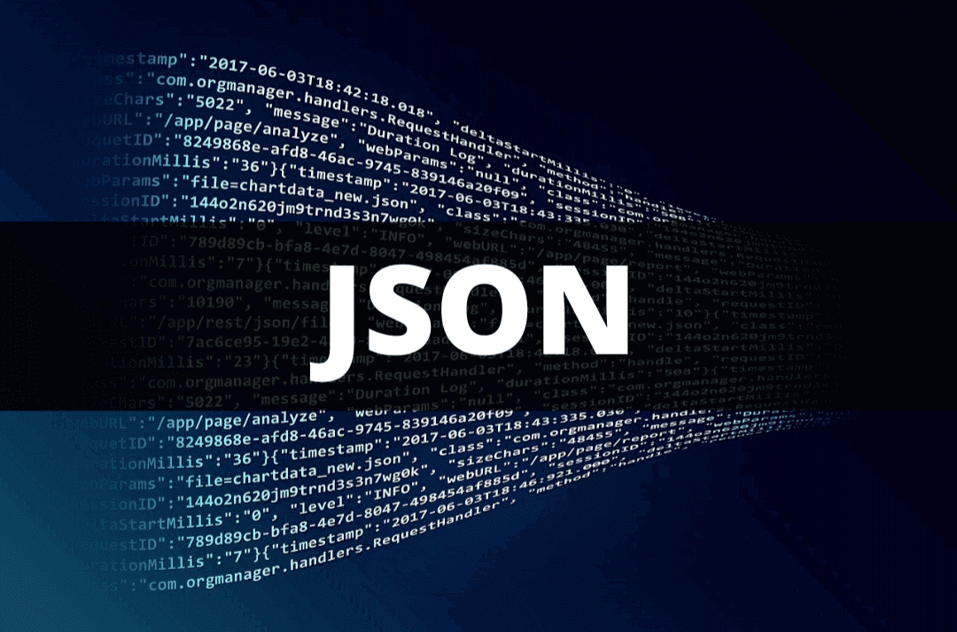 json assignment format